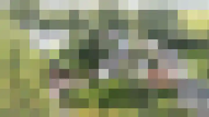 Lingedijk 8 Acquoy thumbnail 86