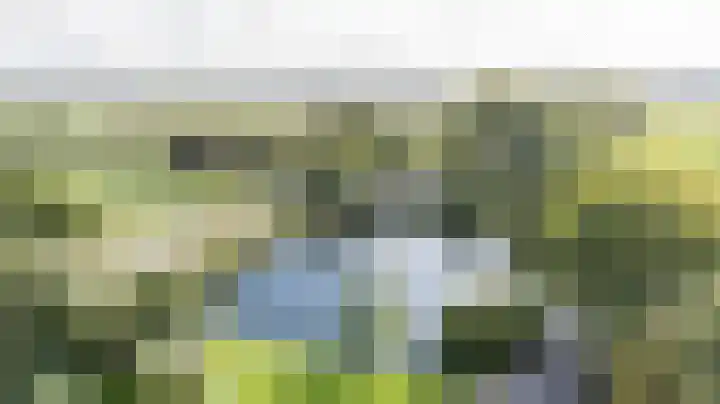 Lingedijk 8 Acquoy thumbnail 91