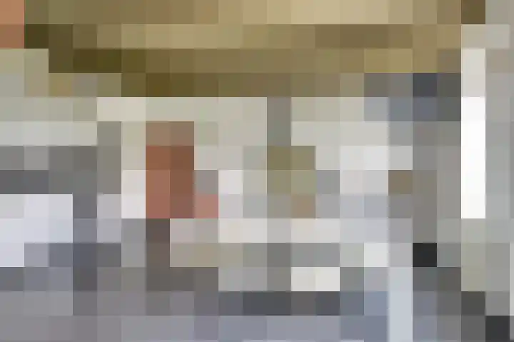 Lingedijk 82 Acquoy thumbnail 11