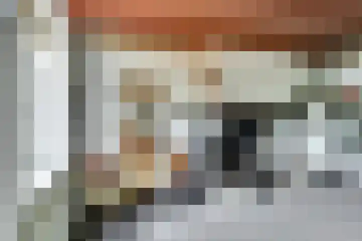 Lingedijk 82 Acquoy thumbnail 12