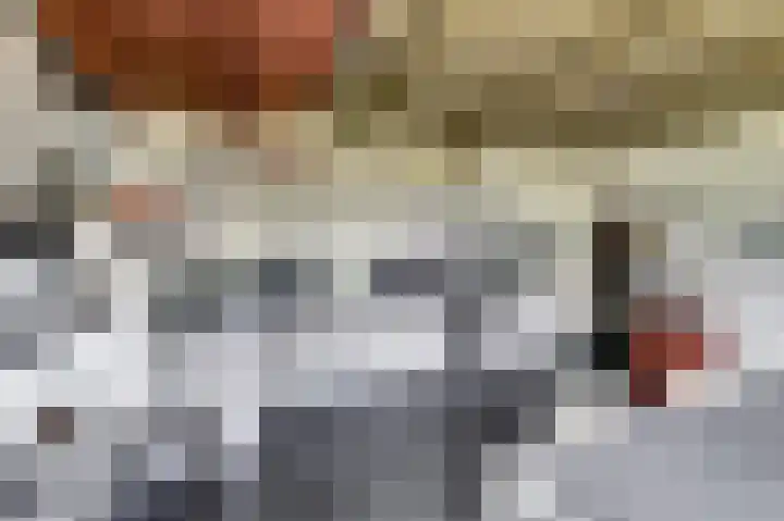 Lingedijk 82 Acquoy thumbnail 14