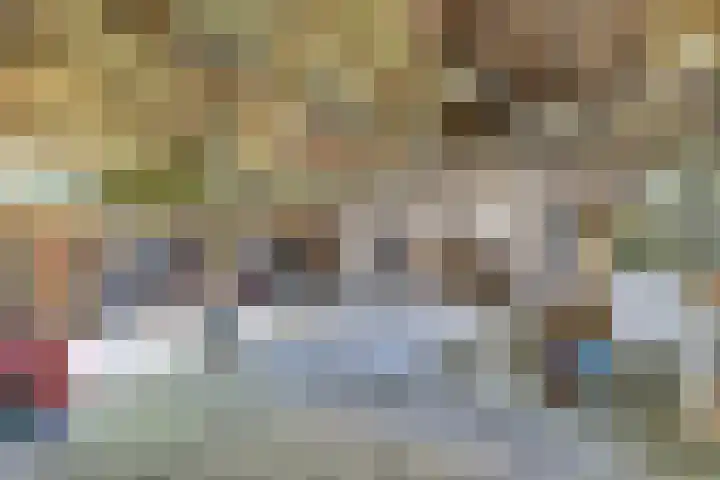 Lingedijk 82 Acquoy thumbnail 25