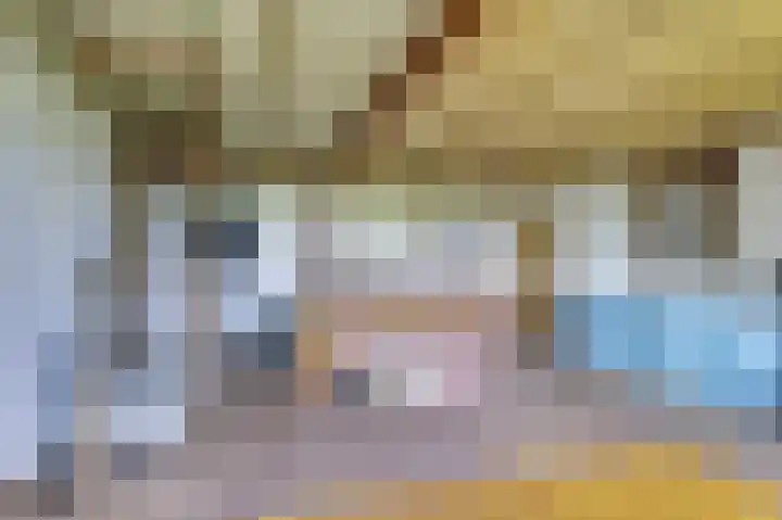 Lingedijk 82 Acquoy thumbnail 34