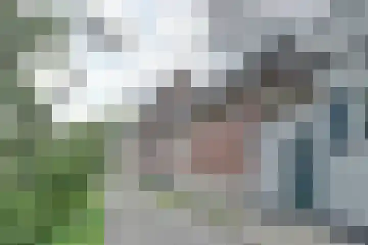 Lingedijk 82 Acquoy thumbnail 52