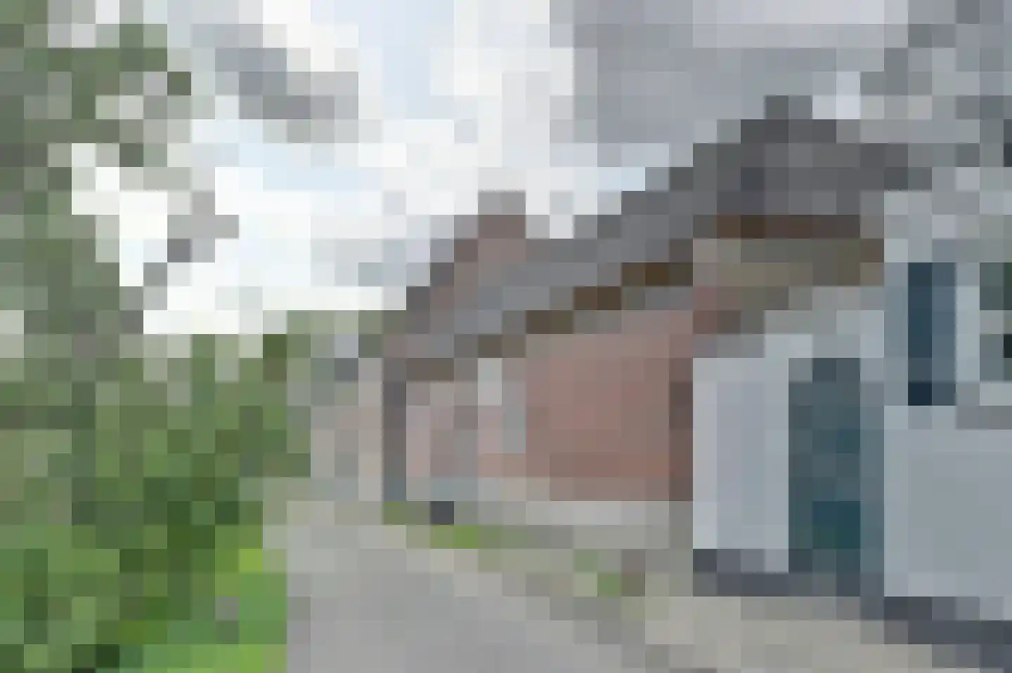 Lingedijk 82 Acquoy thumbnail 52