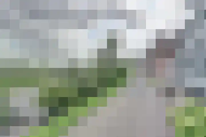 Lingedijk 82 Acquoy thumbnail 53