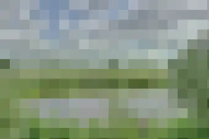 Lingedijk 82 Acquoy thumbnail 54