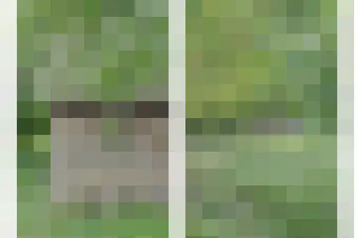 Lingedijk 82 Acquoy thumbnail 55