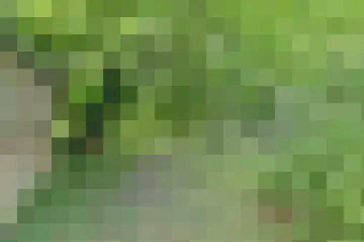 Lingedijk 82 Acquoy thumbnail 56