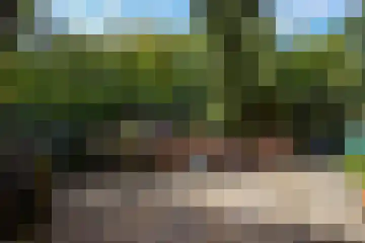 Lingedijk 82 Acquoy thumbnail 62