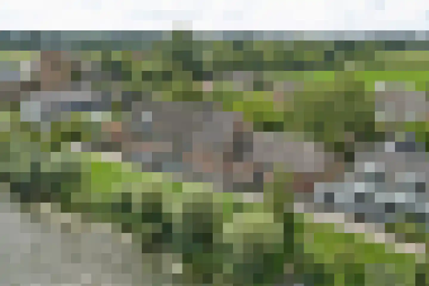 Lingedijk 82 Acquoy thumbnail 71