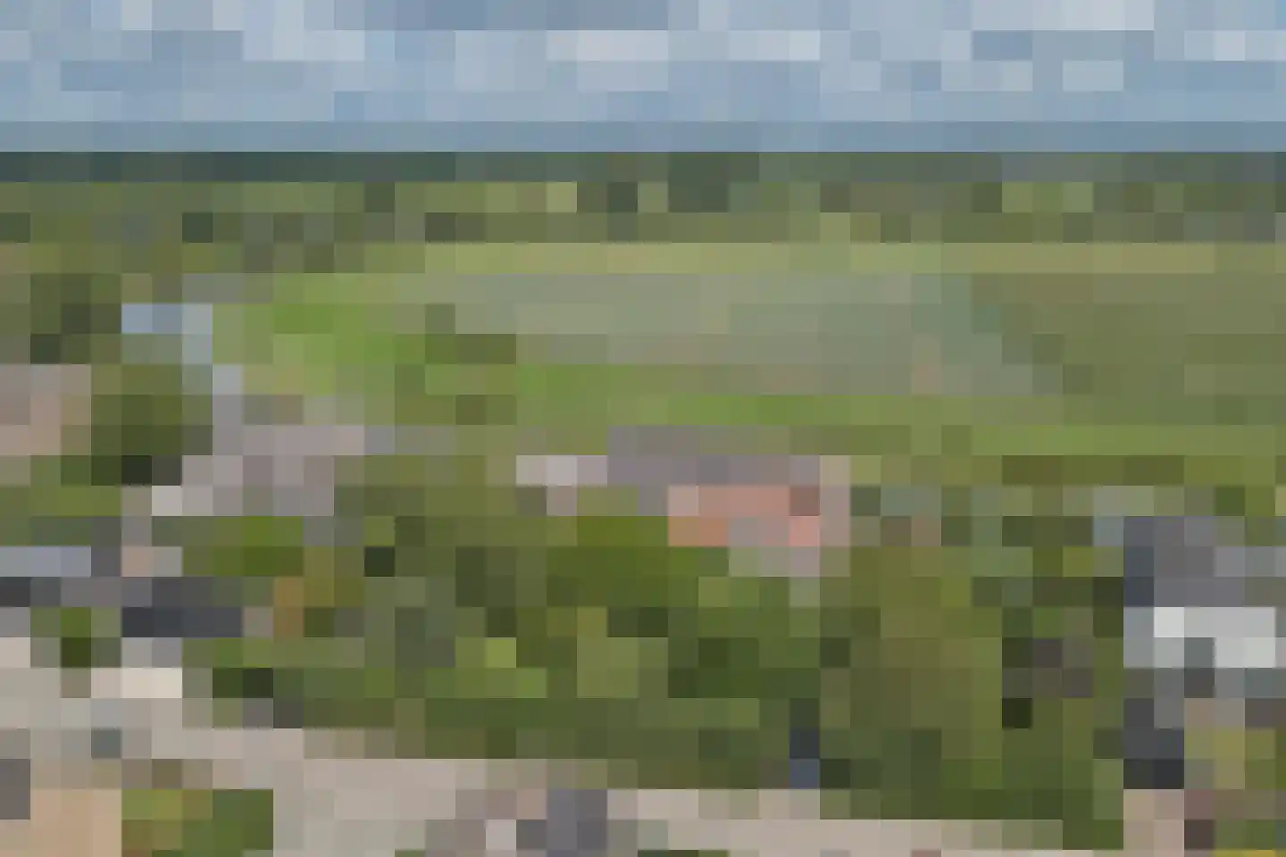 Lingedijk 82 Acquoy thumbnail 72