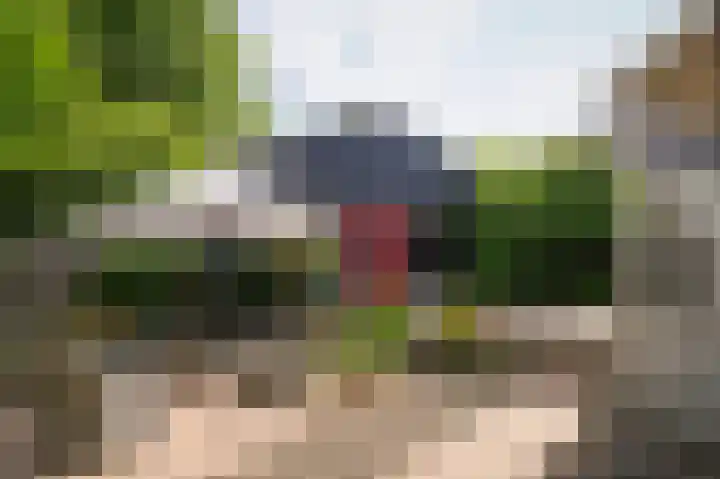 Lingedijk 9 Gellicum thumbnail 25