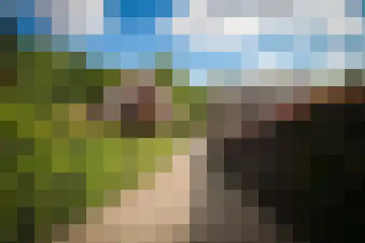 Lingedijk 9 Gellicum thumbnail 33