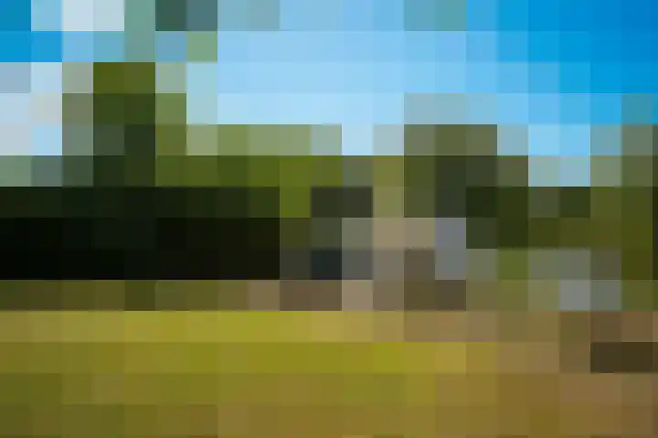Lingedijk 9 Gellicum thumbnail 36