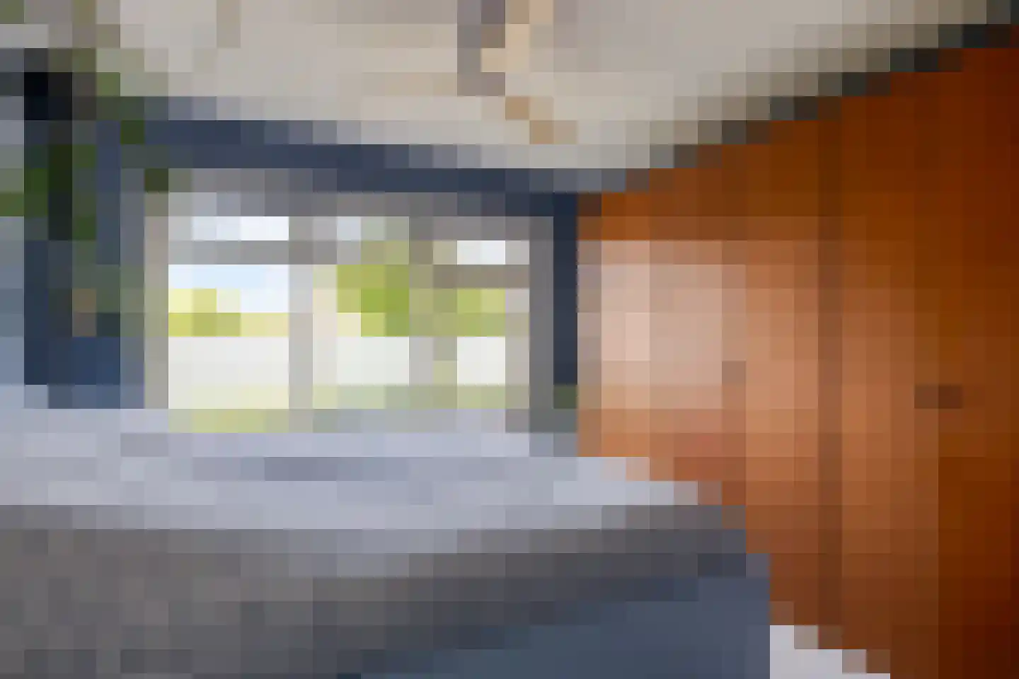 Lingedijk 90 Tiel thumbnail 18