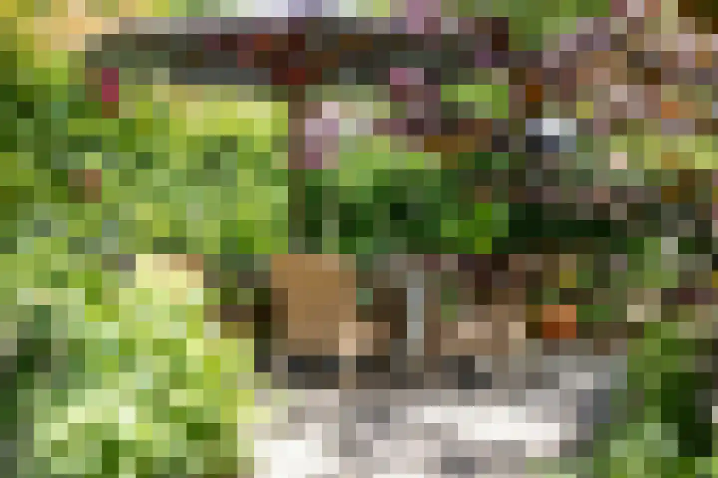Lingedijk 90 Tiel thumbnail 31