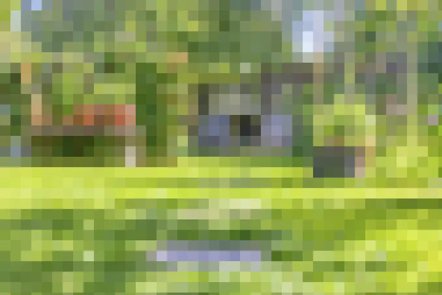 Lingedijk 90 Tiel thumbnail 33
