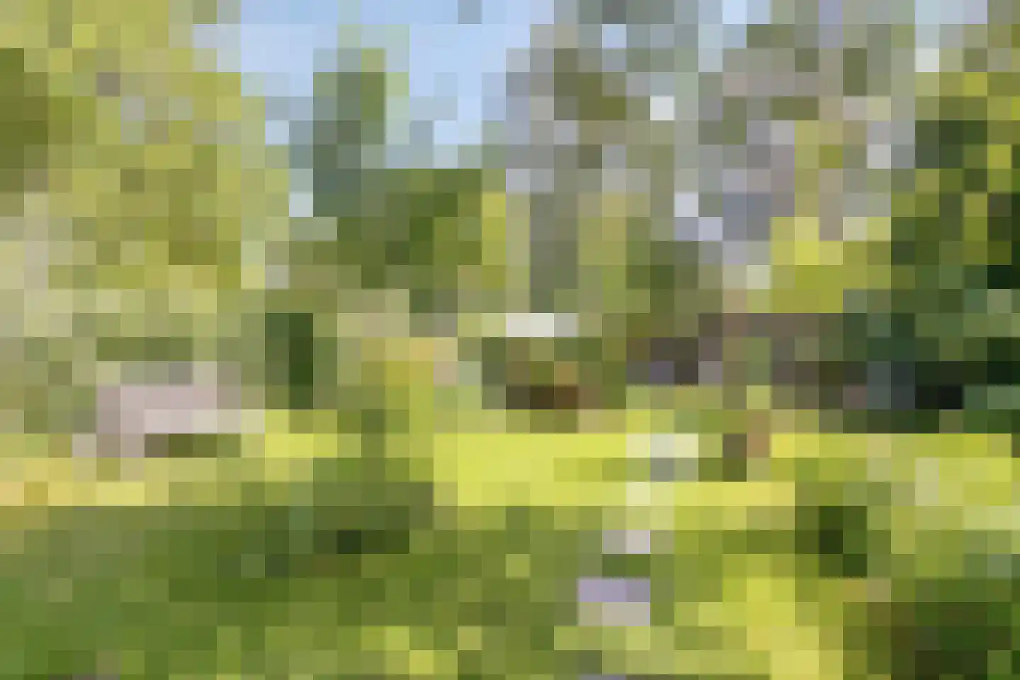 Lingedijk 90 Tiel thumbnail 34