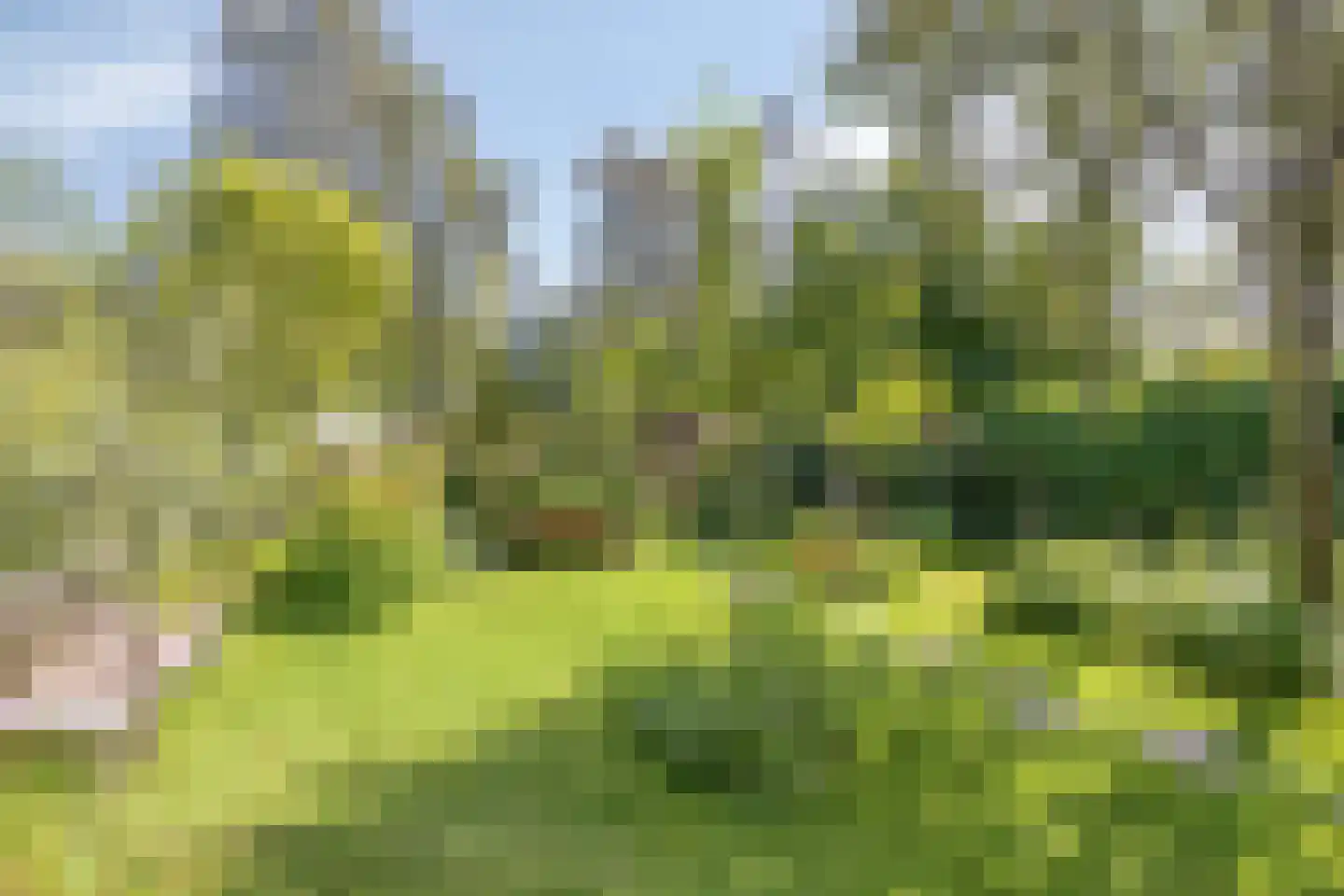 Lingedijk 90 Tiel thumbnail 35