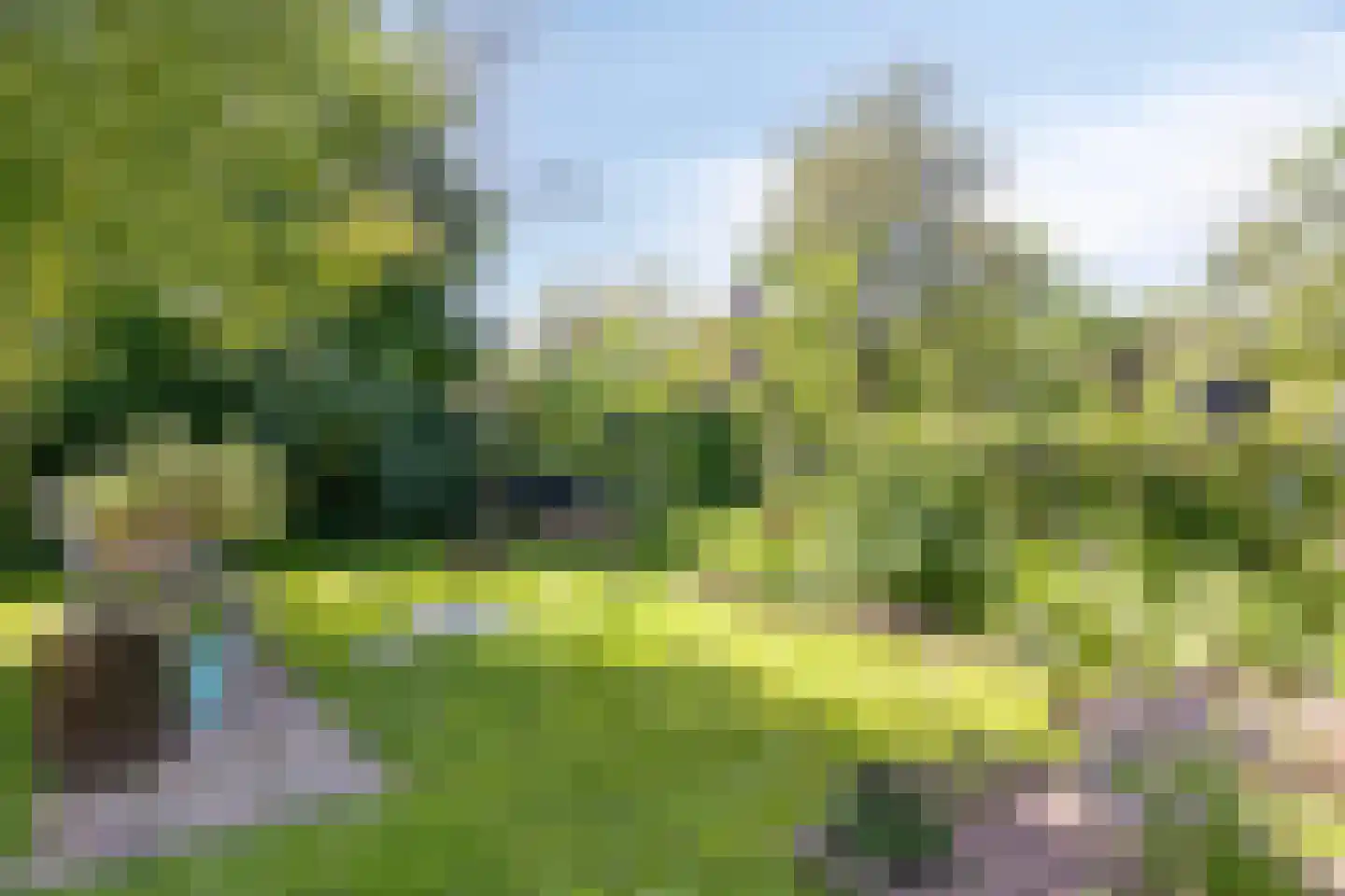 Lingedijk 90 Tiel thumbnail 37