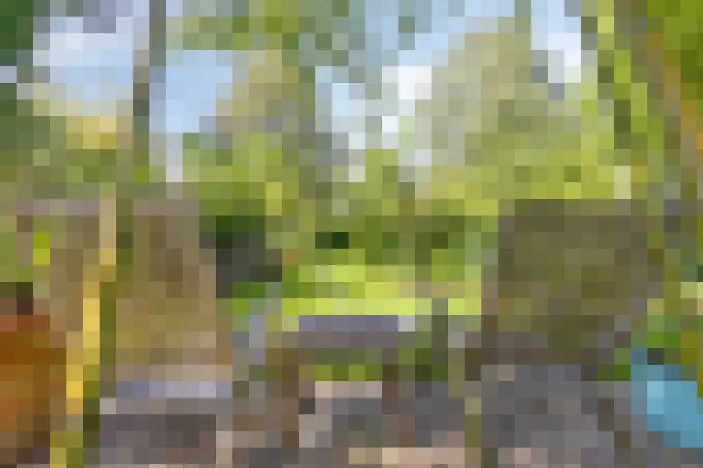 Lingedijk 90 Tiel thumbnail 38