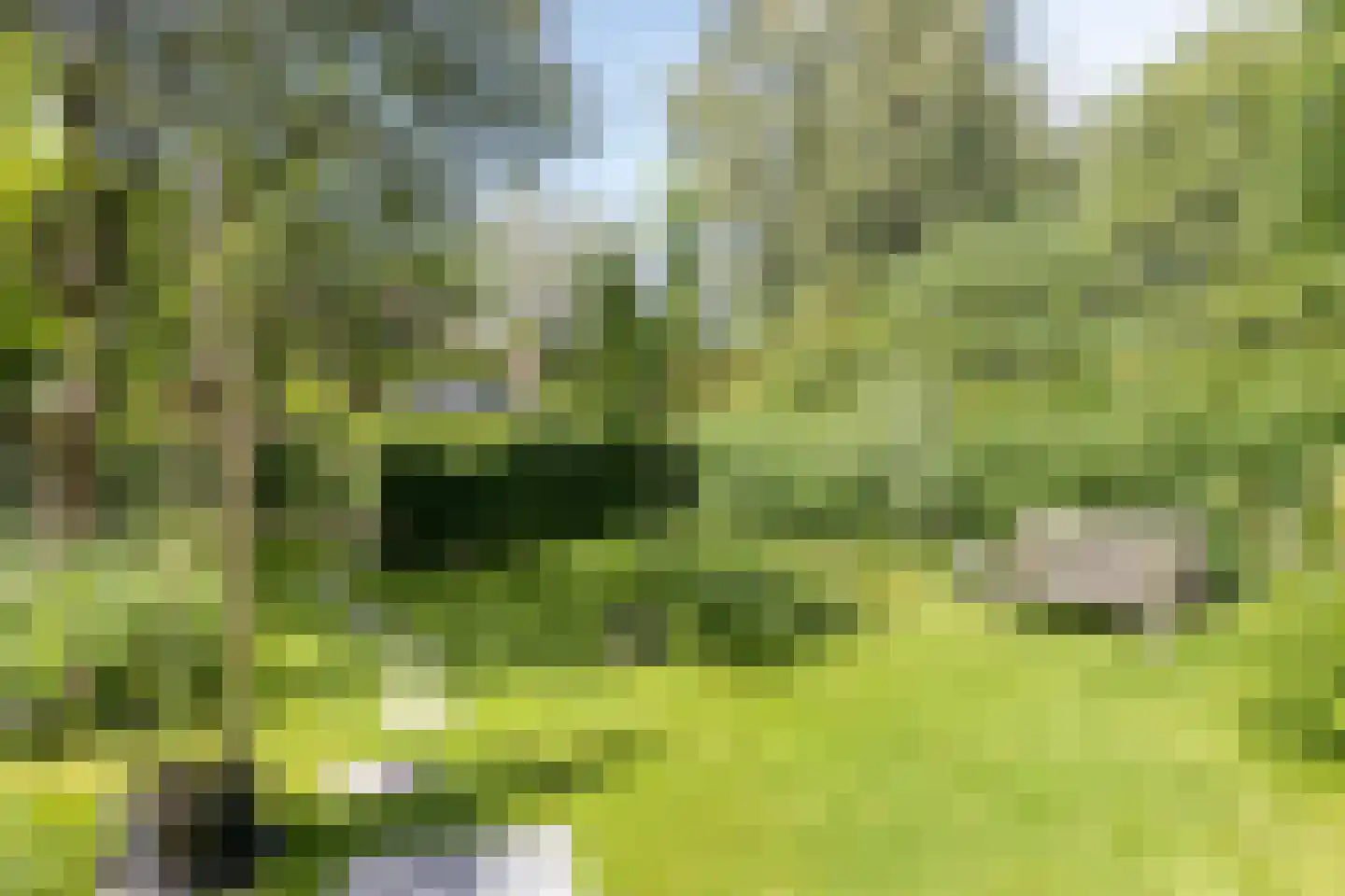 Lingedijk 90 Tiel thumbnail 39