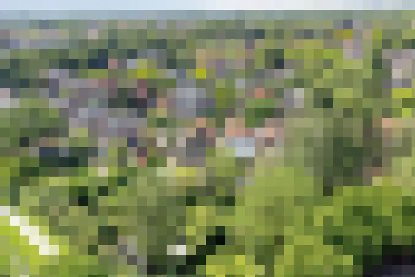 Lingedijk 90 Tiel thumbnail 4