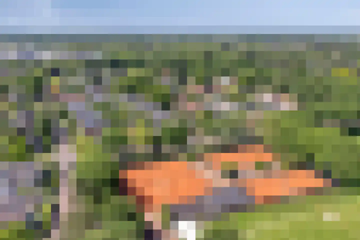 Lingedijk 90 Tiel thumbnail 43
