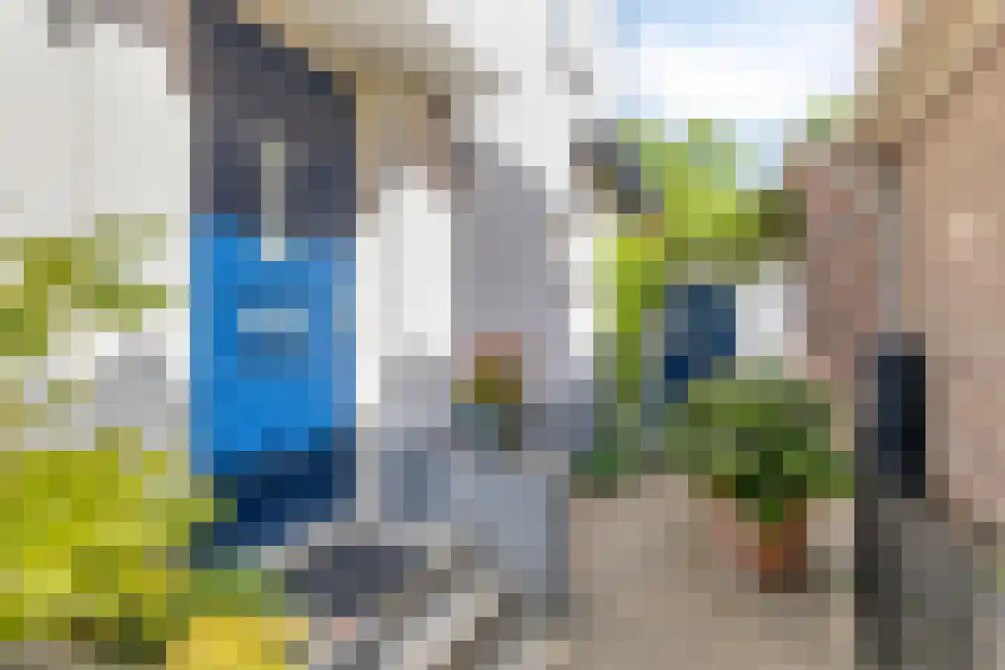 Lingedijk 90 Tiel thumbnail 5