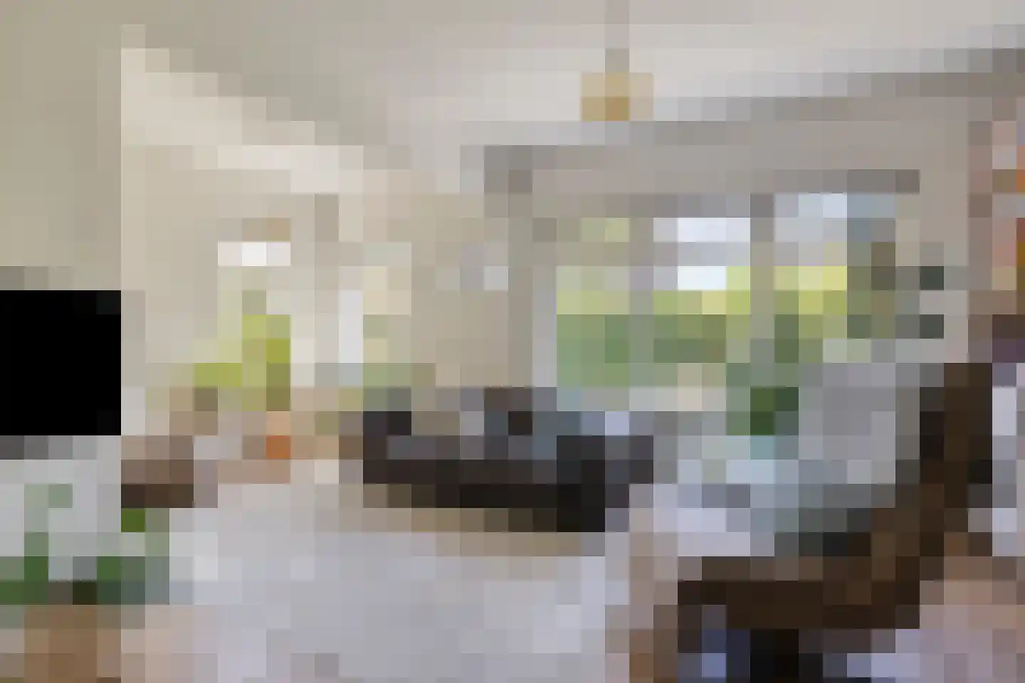 Lingedijk 90 Tiel thumbnail 6