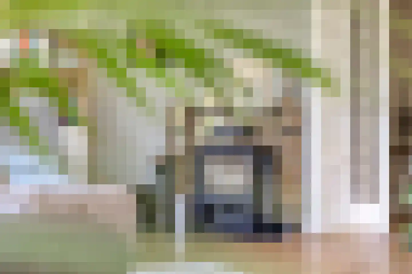 Lingedijk 90 Tiel thumbnail 8