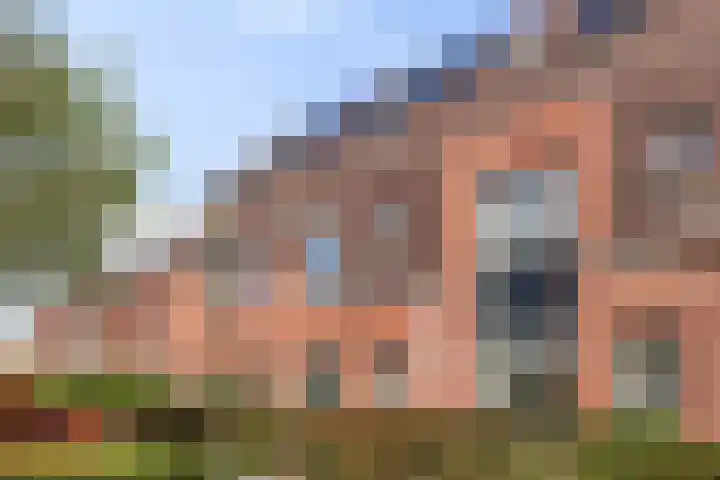 Lingegraaf 7 Elst