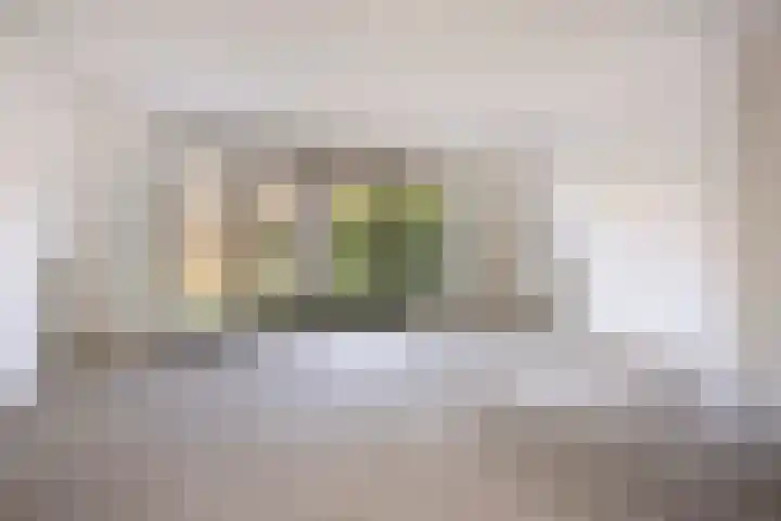 Lingegraaf 7 Elst thumbnail 13