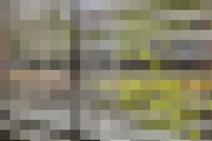 Lingegraaf 7 Elst thumbnail 15