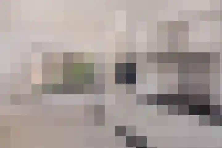 Lingegraaf 7 Elst thumbnail 17