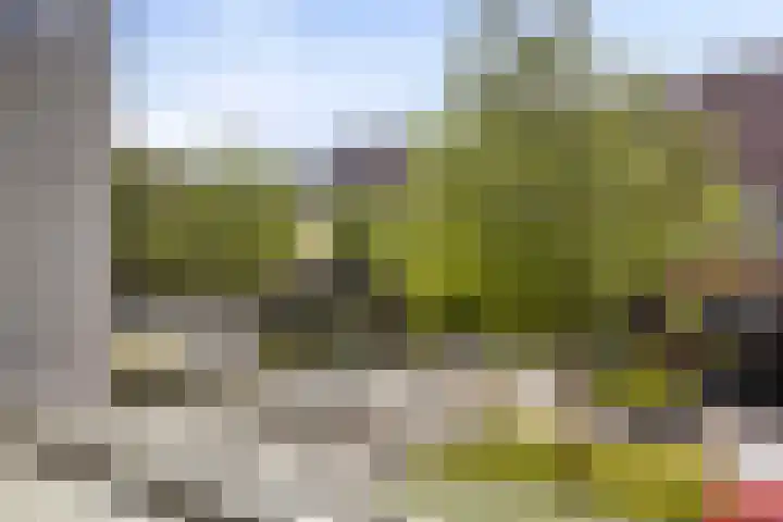 Lingegraaf 7 Elst thumbnail 34