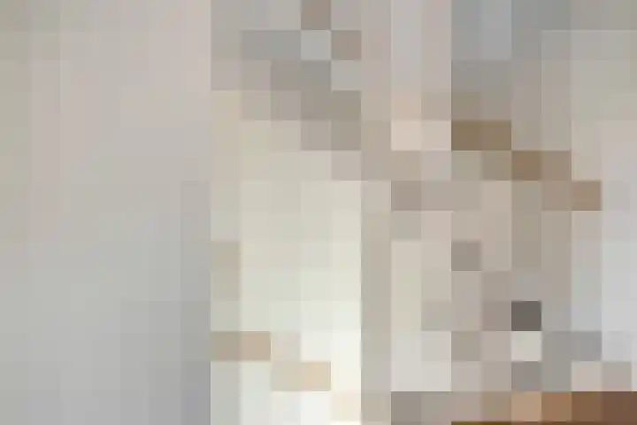 Lingegraaf 7 Elst thumbnail 36