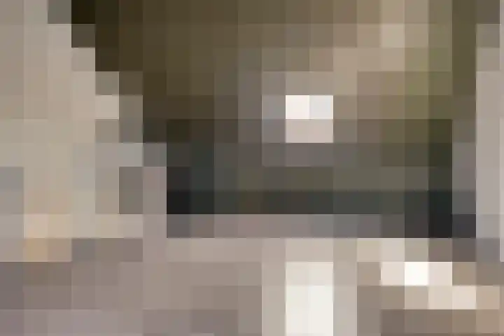 Lingegraaf 7 Elst thumbnail 37