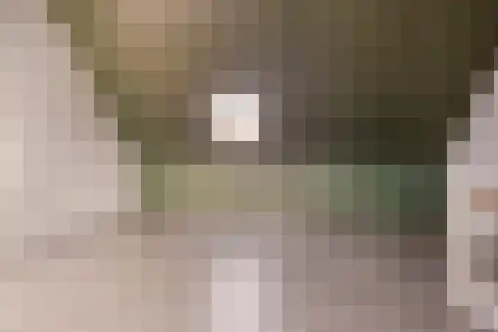 Lingegraaf 7 Elst thumbnail 38