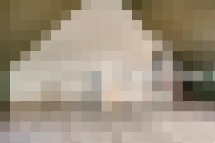 Lingegraaf 7 Elst thumbnail 39