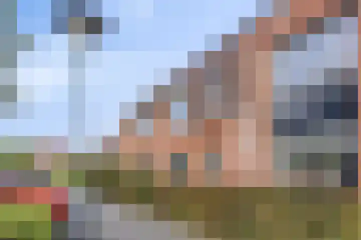 Lingegraaf 7 Elst thumbnail 4