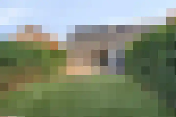 Lingegraaf 7 Elst thumbnail 41