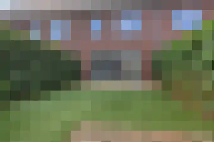 Lingegraaf 7 Elst thumbnail 42