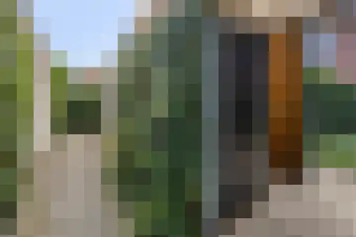 Lingegraaf 7 Elst thumbnail 44