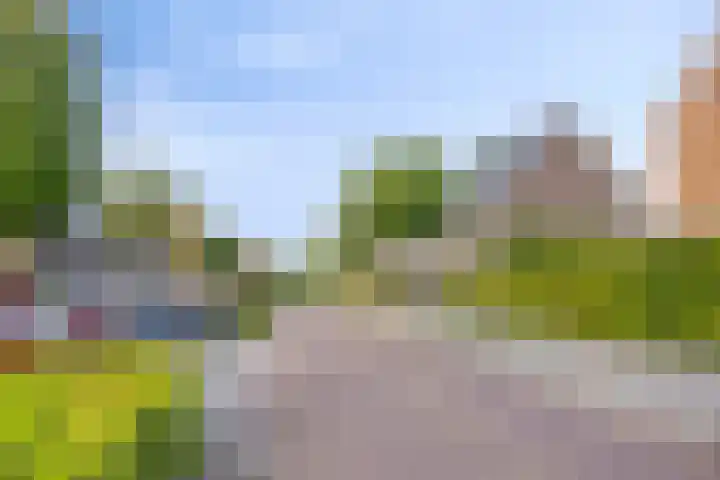 Lingegraaf 7 Elst thumbnail 45