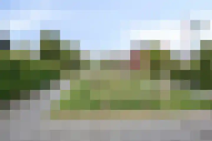 Lingegraaf 7 Elst thumbnail 46