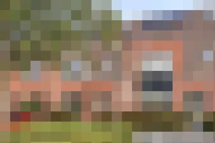 Lingegraaf 7 Elst thumbnail 6