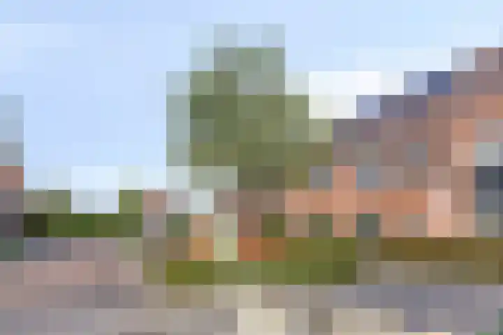 Lingegraaf 7 Elst thumbnail 8