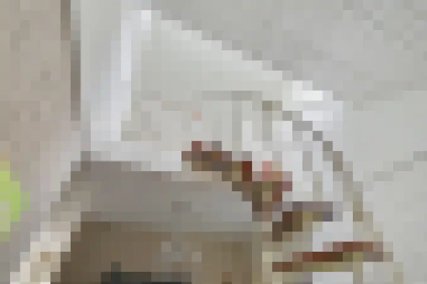Lingekant 5 Ochten thumbnail 11